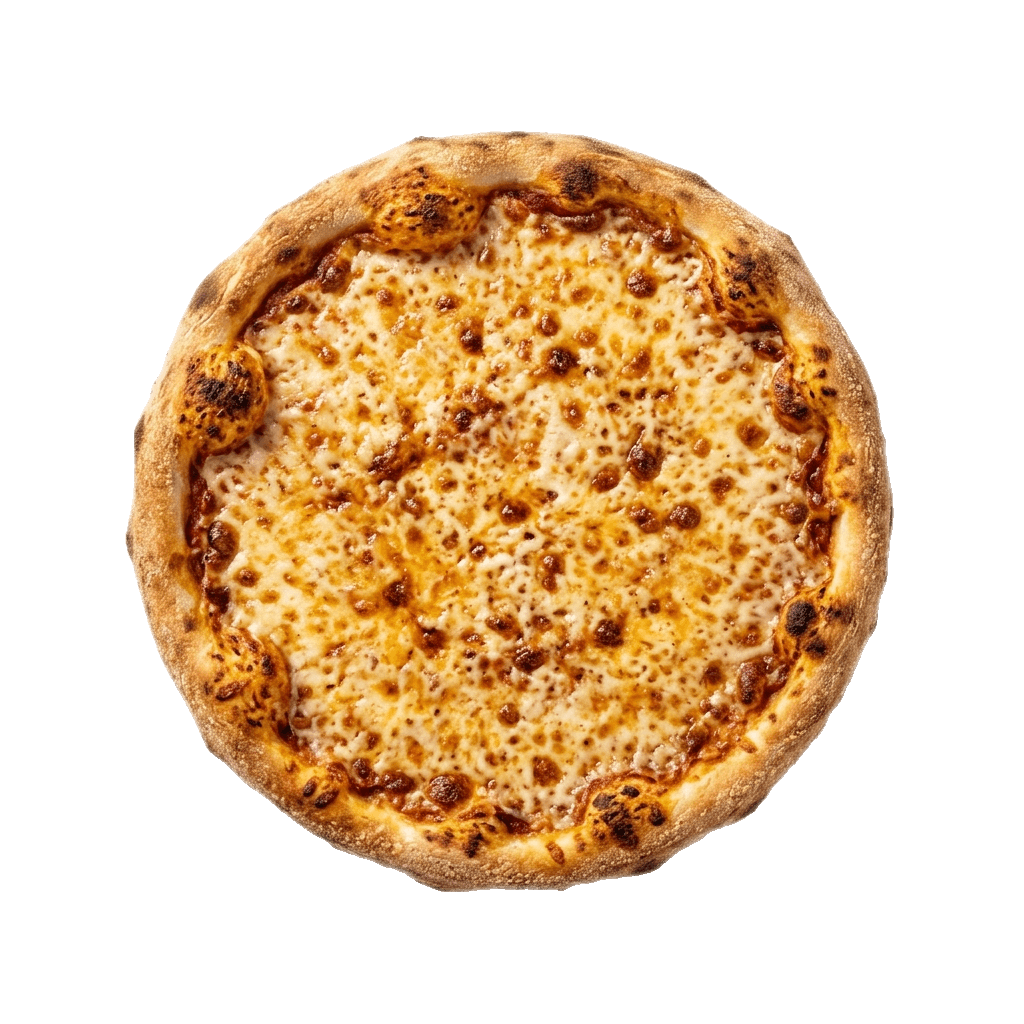 Cheese Plain Pizza